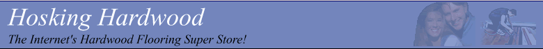 mn_header.gif (9261 bytes)